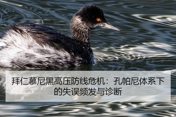 bai-ren-mu-ni-hei-gao-ya-fang-xian-wei-ji-kong-pa-ni-ti-xi-xia-de-shi-wu-pin-fa-yu-zhen-duan-2-808.jpg