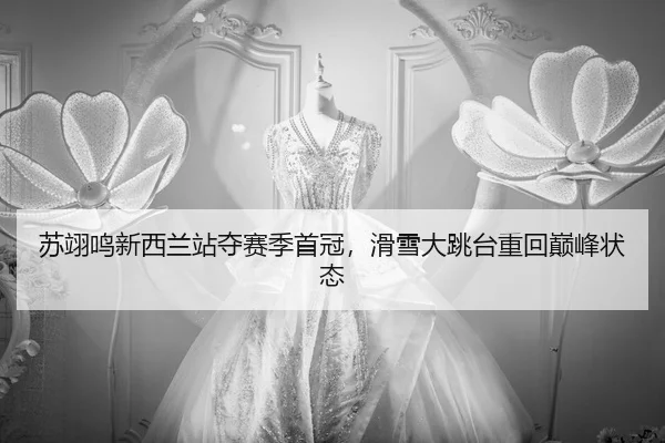 su-yi-ming-xin-xi-lan-zhan-duo-sai-ji-shou-guan-hua-xue-da-tiao-tai-zhong-hui-dian-feng-zhuang-tai-3-246.jpg